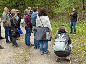 Kräuterwanderung: Karlsruhe - Ettlingen - Schwarzwald